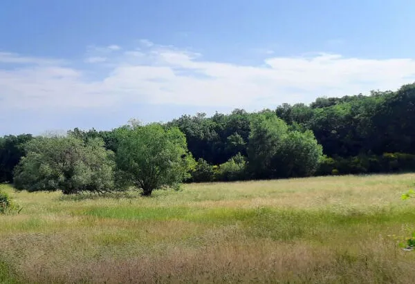 Terrain constructible 400 m² - Malataverne