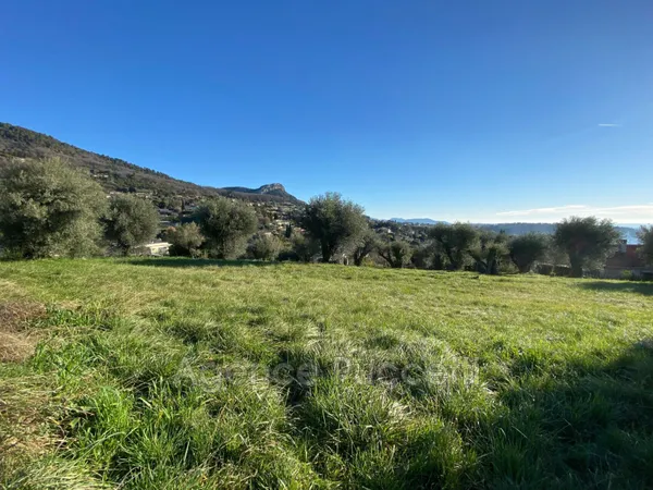 vente terrain à lotissement