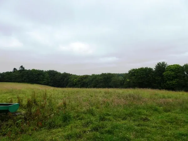 Terrain agricole