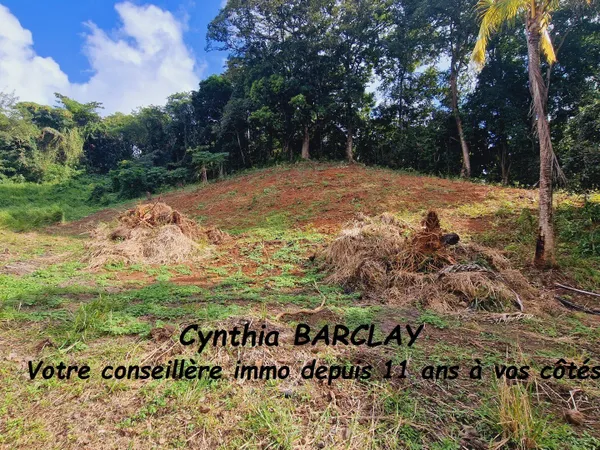 Terrain à bâtir Vente Le François  1912m² 230880€