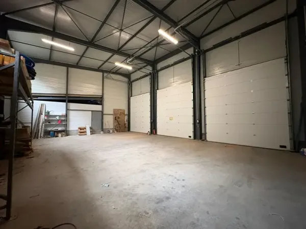 Location Local d'activités Domarin 38300
