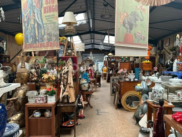 Locaux d'activités indépendant A VENDRE