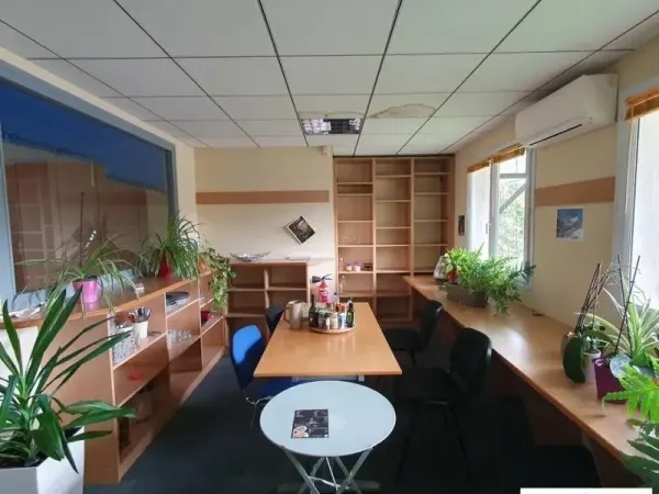 BUREAUX A VENDRE