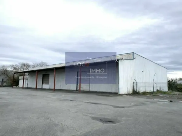 LOCAL D'ACTIVITE A LOUER