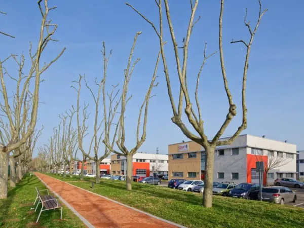 A LOUER - Plusieurs cellules mixtes (activité et/ou bureaux) à SAINT PRIEST (69800)