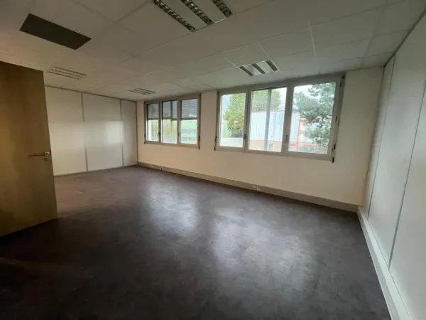 Immobilier Professionnel à louer Chassieu
