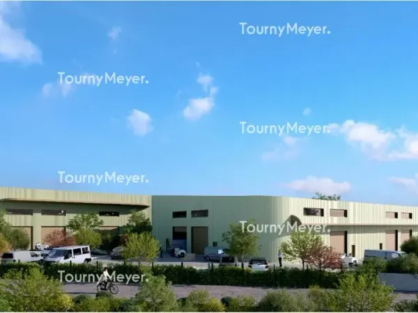 LOCAUX D'ACTIVITES A VENDRE