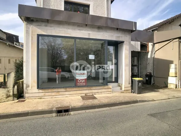 LOCAL PROFESSIONNEL A LOUER