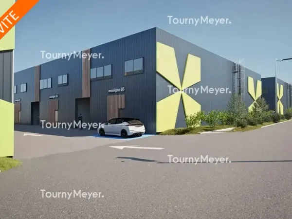 LOCAUX D'ACTIVITES A VENDRE