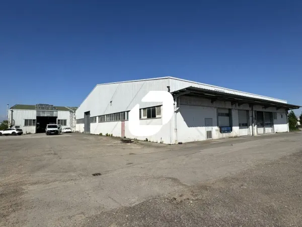 A LOUER, Stockage & Show-room