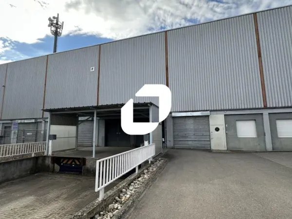 Location Local d'activités Selestat 67600