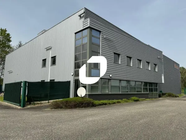 Location Bureau La Wantzenau 67610