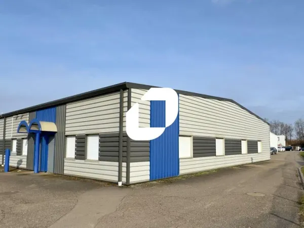 Location Local d'activités Geispolsheim 67118