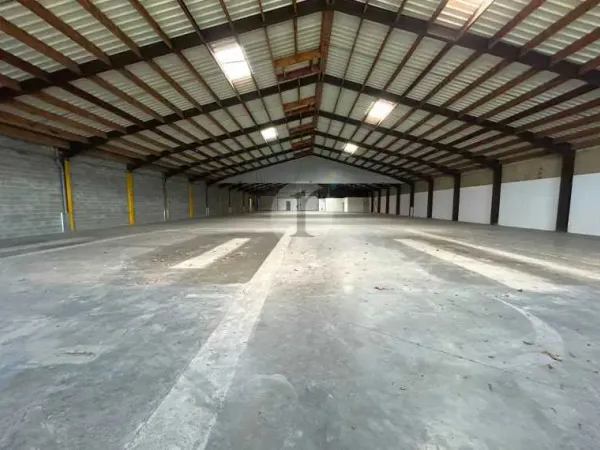 Cellule d'activités 1 800 m² à louer