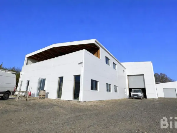 Vente Local d'activités Bassens 33530