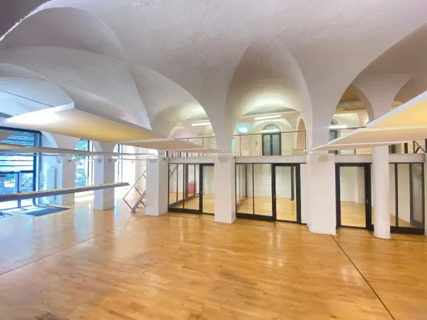LYON 1 BUREAUX A VENDRE 920 M² DIVISIBLES 