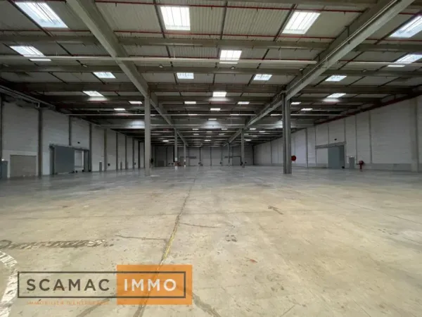 Entrepôt de 41918m²