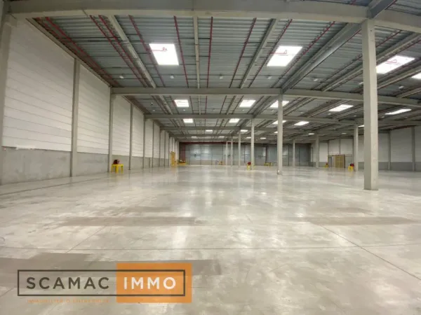 Entrepôt de 11568m²