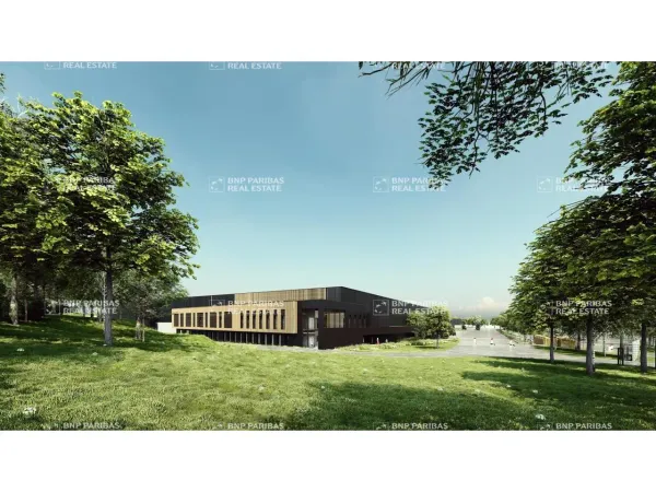 Location entrepôt logistique Montbartier 82700