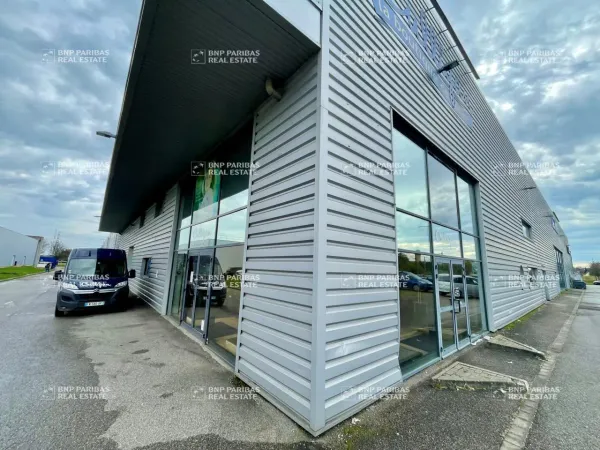 Vente Local d'activités Lampertheim 67450