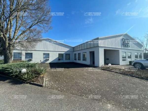 Vente Local d'activités Entzheim 67960