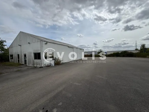 LOCATION - LOCAL D'ACTIVITE - 250 m²