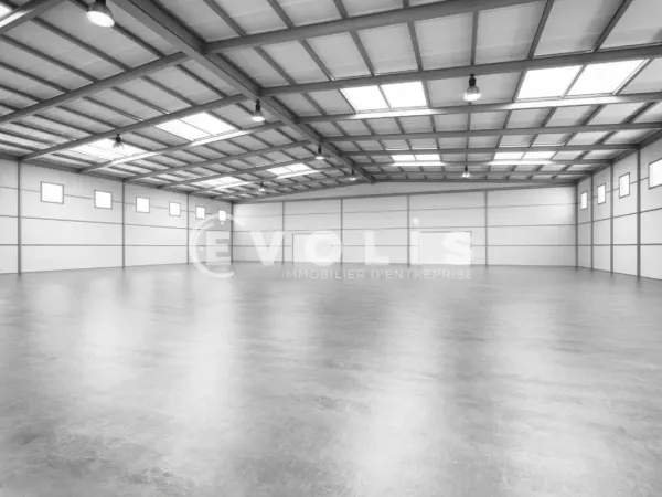 LOCATION - LOCAL D'ACTIVITÉ - 1 312 m²