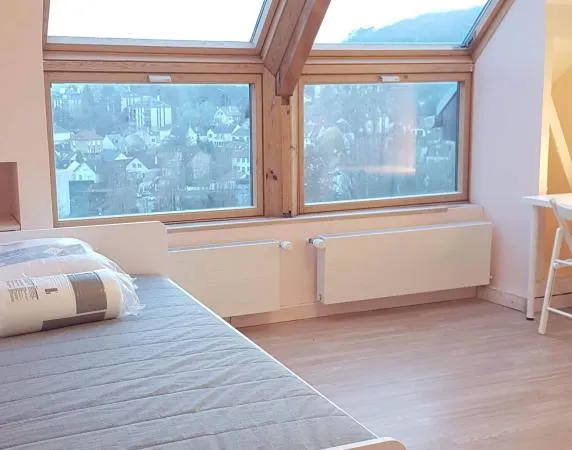 Chambre de 18m2 à louer sur Orsay