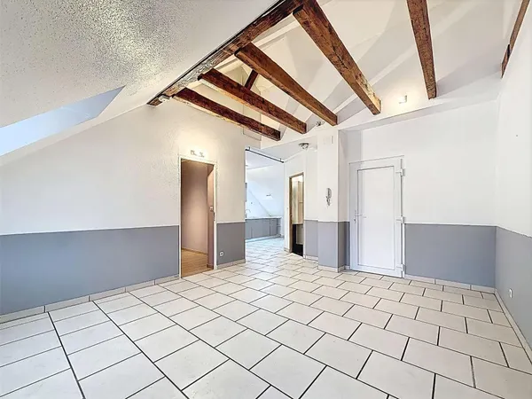 Appartement de 45m2 à louer sur Mulhouse