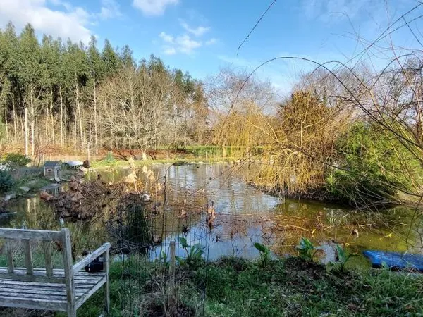 Studio de 50m2 à louer sur Candresse