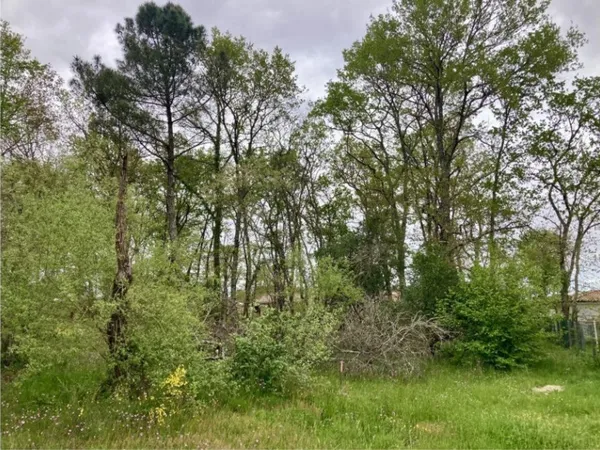Terrain 450 m² 