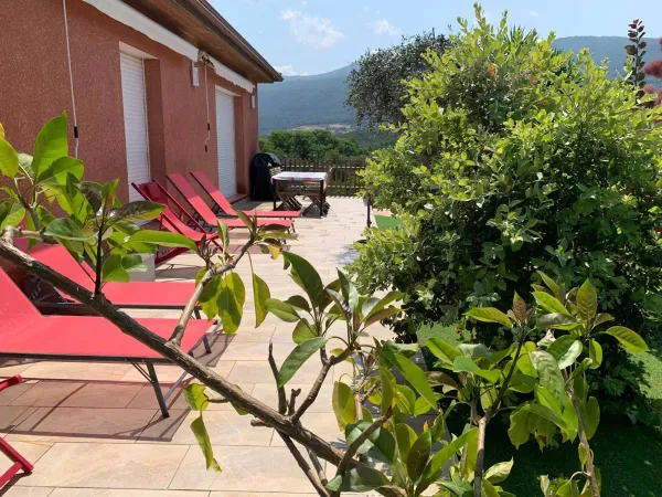Vends Villas en Corse 5 chambres 