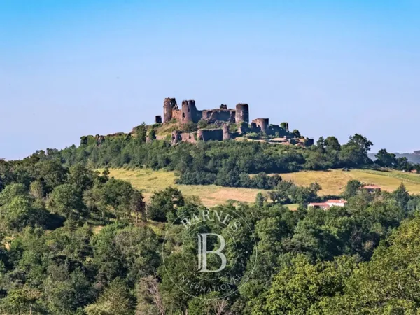 Château de Mauzun - Le Géant d'Auvergne 