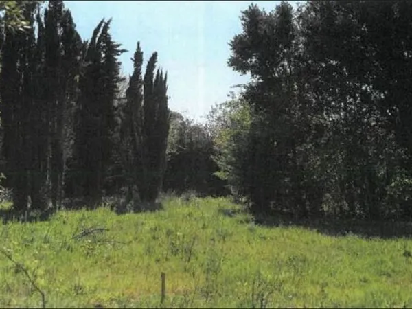 Terrain 1600 m² 