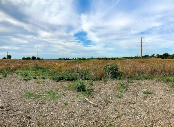 Terrain 900 m² 