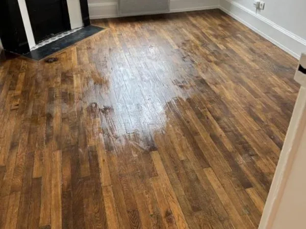 Appartement de 35m2 à louer sur Nancy 