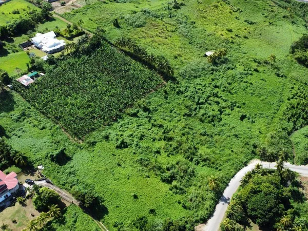 Terrain constructible 30164 m² 