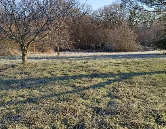 Terrain Vente Virazeil   70000€