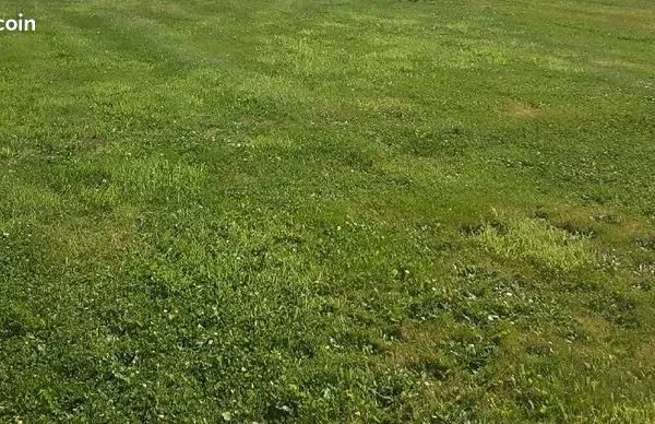 Terrain 990 m² Carrouges 