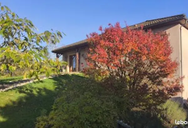 Maison avec terrain et cabanon 