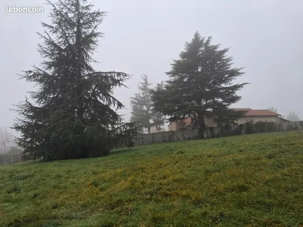 Terrain 435 m² Marges 