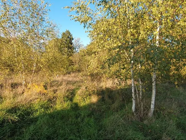 🌿 Rare Beau terrain 2606 m² au calme - Romorantin-Lanthenay 