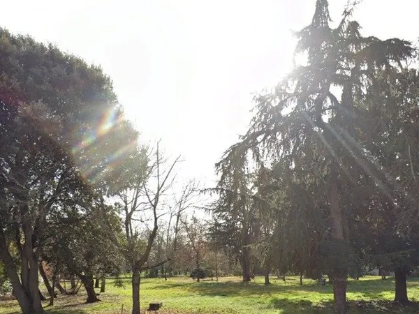 Terrain 1205 m² 