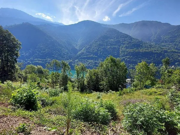Propriété 
