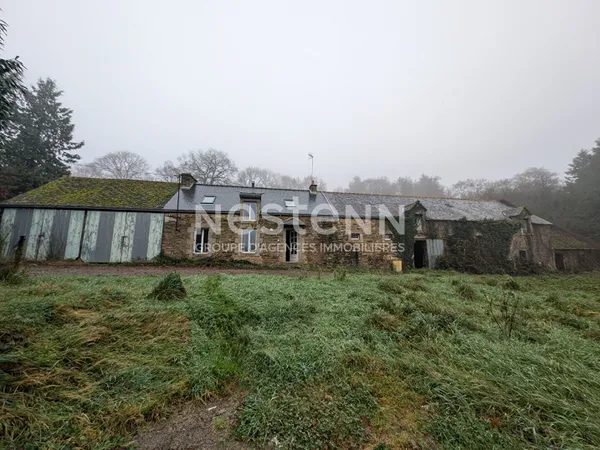 Longère à vendre à Réguiny 7900 m² de terrain 