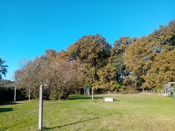 Terrain 1000 m² 