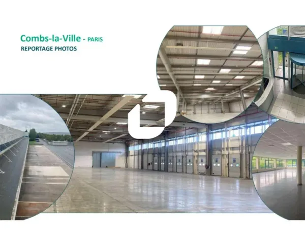 Location Entrepôt Combs La Ville 77380 