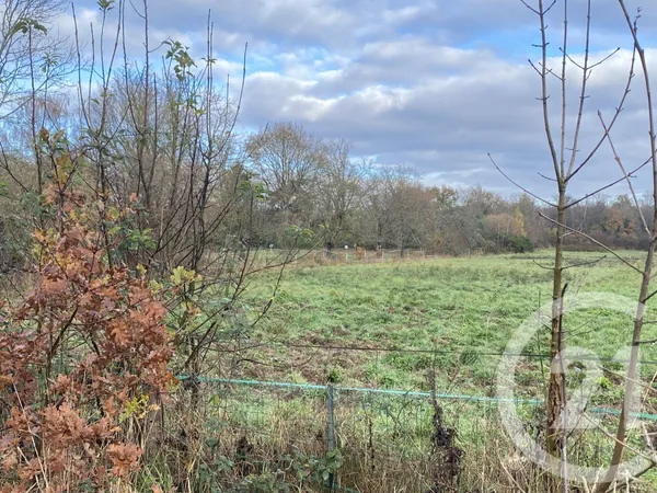 Terrain 3013 m² 