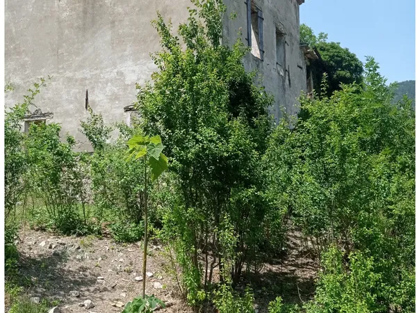 Appartement 4 pièces 250 m² 