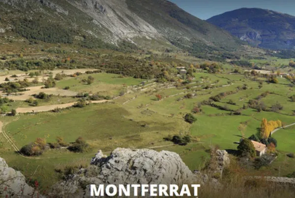 Terrain 5023 m² 